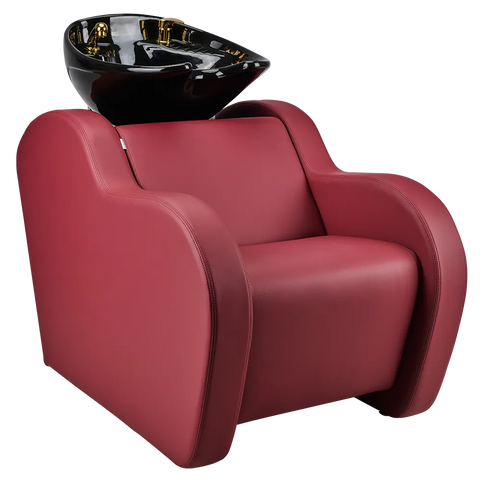 HOLLY hairdressing wash